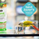 ZuPreem Natural Bird Food, Bird Feed Pellets for Parrots, Conures, Caiques, African Greys, Eclectus & Small Cockatoos, Nutrition, Made in USA, Parrot Food, Conure Feed, (M/L, 3 lb)