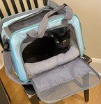 Enjoying Plush Cat Bed Mat 10" x 15" Pet Cushion With Pillow for Puppy Curling Sleep, Pad for Carrier/Crate, Dog Self-Warm Bed, Antiskid Bottom, Small