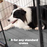 BALANCE Dog Crate Pad, Dog Foam Crate Mat Kennel Pad, Washable Water-Resistant Pet Bed Flat Dogs Cage Mat for Small Dogs