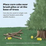 Kaytee Corn On The Cob, 6.5 lb