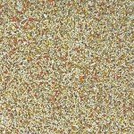 Higgins 2 Pack of Sunburst Gourmet Blend Parakeet Food, 2 Pounds Each, with Protein Egg Food