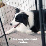 BALANCE Dog Crate Pad, Dog Foam Crate Mat Kennel Pad, Washable Pet Bed Flat Dogs Cage Mat for Small Dogs