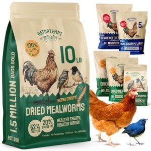 Hatortempt Bulk Dried Mealworms, 10 Lbs – Non-GMO Mealworms for Chicken & Birds - Insect Protein for Poultry Feed - Worms for Chickens, Laying Hens, Quail, Ducks - Bird Seed Alternative