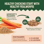 Hatortempt Bulk Dried Mealworms, 10 Lbs – Non-GMO Mealworms for Chicken & Birds - Insect Protein for Poultry Feed - Worms for Chickens, Laying Hens, Quail, Ducks - Bird Seed Alternative