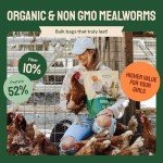 Hatortempt Bulk Dried Mealworms, 10 Lbs – Non-GMO Mealworms for Chicken & Birds - Insect Protein for Poultry Feed - Worms for Chickens, Laying Hens, Quail, Ducks - Bird Seed Alternative
