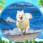 Geyoga 60 Pcs Summer Plaid Dog Bandanas Bulk Pet Grooming Scarf Bibs Supplies Adjustable Washable Kerchief Pet Groomer Accessories for Small to Large Cats Dogs Costume Party