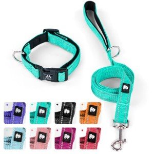 IVY&LANE Reflective Dog Collar and Leash Set,Adjustable Neoprene Padded Dog Collars for Puppy, Breathable Nylon Pet Collar for Small Medium Large Dogs(Small,Teal)