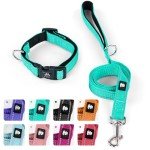 IVY&LANE Reflective Dog Collar and Leash Set,Adjustable Neoprene Padded Dog Collars for Puppy, Breathable Nylon Pet Collar for Small Medium Large Dogs(Small,Teal)