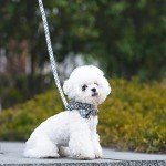 Hilkycton Plaid Dog Collar Leash Set with Bow Tie Adjustable Cute Puppy Collar with Durable Metal Buckle Girls Boys Dog Collar for Small Medium Large Dogs Vintage-XS