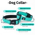 IVY&LANE Reflective Dog Collar and Leash Set,Adjustable Neoprene Padded Dog Collars for Puppy, Breathable Nylon Pet Collar for Small Medium Large Dogs(Small,Teal)