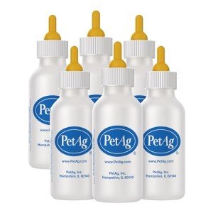 PetAg Nurser Bottle - 2 oz, Pack of 6 - Promotes The Natural Feeding of Liquids - Designed for Small Animals - Durable & Easy to Clean