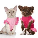 2 Pieces Dog Dresses for Dogs Cute Girl Female pet Dress Mommy Puppy Shirt Skirt Dresses Pet Summer Clothes Apparel for Cats(Love and Angel,Medium)