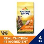 Nature′s Recipe Grain Free Chicken, Sweet Potato & Pumpkin Recipe Dry Dog Food, 4 lb. Bag