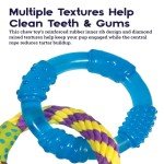 Petstages Orka Dental Links Dog Chew Toy