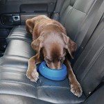 Kurgo Splash Free Wander Water Bowl, No Spill Dog Travel Bowl, Portable No Mess Bowl for Dogs, Splash Less Car Bowl for Pets, Car Accessories, 24 Ounces (Coastal Blue)