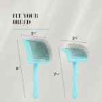 Chris Christensen Big G Dog Slicker Brush for Dogs (Goldendoodles, Labradoodles, Poodles), Groom Like a Professional, Fluff Detangle Style, Saves Time Energy, Teal, Large