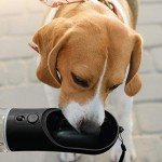 Portable PET Travel DOG on-the-go CAT WATER BOTTLE. Best Leak-Proof Water fountain for small cats, dogs. 12oz