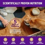 Wellness Complete Health Adult Dry Cat Food for Indoor Cats, Wholesome Grains, Natural, Chicken (5 Pound Bag)