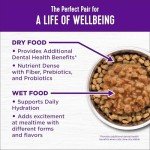 Wellness Complete Health Adult Dry Cat Food for Indoor Cats, Wholesome Grains, Natural, Chicken (5 Pound Bag)