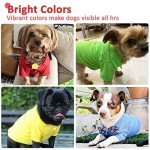 DOGGYZSTYLE 4 Pieces Dog Shirts Collared Polo T-Shirts for Small Medium Dogs Cats Boy Girl Dog Clothes Breathable Doggy Sweatshirt Puppy Kitten Small Breeds Pet Outfits Apparel Tops