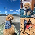 Dog Jean Jacket, Puppy Blue Denim Lapel Vest Coat Costume, Girl Boy Dog T-Shirt Clothes, Cool and Funny Apparel Outfits, Machine Washable Dog Outfits for Small Medium Dogs Cats (M)