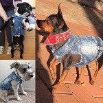 Dog Jean Jacket, Puppy Blue Denim Lapel Vest Coat Costume, Girl Boy Dog T-Shirt Clothes, Cool and Funny Apparel Outfits, Machine Washable Dog Outfits for Small Medium Dogs Cats (M)