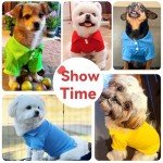 DOGGYZSTYLE 4 Pieces Dog Shirts Collared Polo T-Shirts for Small Medium Dogs Cats Boy Girl Dog Clothes Breathable Doggy Sweatshirt Puppy Kitten Small Breeds Pet Outfits Apparel Tops
