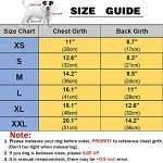 Dog Jean Jacket, Puppy Blue Denim Lapel Vest Coat Costume, Girl Boy Dog T-Shirt Clothes, Cool and Funny Apparel Outfits, Machine Washable Dog Outfits for Small Medium Dogs Cats (M)