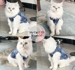 Dog Jean Jacket, Puppy Blue Denim Lapel Vest Coat Costume, Girl Boy Dog T-Shirt Clothes, Cool and Funny Apparel Outfits, Machine Washable Dog Outfits for Small Medium Dogs Cats (M)