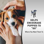 Nature's Miracle Advanced Platinum Puppy Potty Training Spray 8 Oz, Dog Training Aid