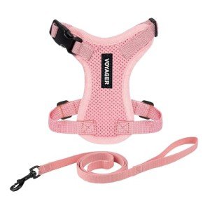 Voyager Step-in Lock Pet Harness - All Weather Mesh, Adjustable Step in Harness for Cats by Best Pet Supplies - Pink, XXS