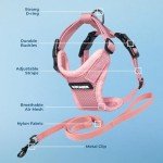 Voyager Step-in Lock Pet Harness - All Weather Mesh, Adjustable Step in Harness for Cats by Best Pet Supplies - Pink, XXS