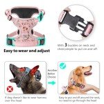 Timos No Pull Dog Harness, Release at Neck Reflective 3 Snap Buckles Adjustable No Choke Pet Vest with Front & Back 2 Leash Clips, Soft Padded Control Training Handle for Small Medium Large Dogs
