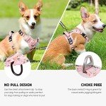 Timos No Pull Dog Harness, Release at Neck Reflective 3 Snap Buckles Adjustable No Choke Pet Vest with Front & Back 2 Leash Clips, Soft Padded Control Training Handle for Small Medium Large Dogs