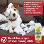 Bodhi Dog Bitter Apple No Chew Spray - Natural Training Aid for Dogs & Puppies - Discourages Pet from Chewing and Biting on Furniture, Shoes, Plants & More - Safe, Humane, Made in USA (17 Fl Oz)