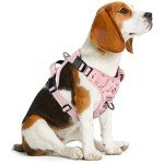 Timos No Pull Dog Harness, Release at Neck Reflective 3 Snap Buckles Adjustable No Choke Pet Vest with Front & Back 2 Leash Clips, Soft Padded Control Training Handle for Small Medium Large Dogs