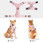 Timos No Pull Dog Harness, Release at Neck Reflective 3 Snap Buckles Adjustable No Choke Pet Vest with Front & Back 2 Leash Clips, Soft Padded Control Training Handle for Small Medium Large Dogs