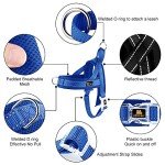 Plutus Pet No Pull Dog Harness with Breathable Mesh Padded, Adjustable Reflective Escape Proof Dog Harness, Quick Fit Dog Vest Harness for Small Medium Large Dogs(S, Navy Blue)