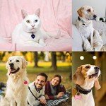 140pcs Pet ID Tag Set with 40pcs Colourful Blank Dog Tags Double Sided Aluminum Cat ID Tags，80pcs Stainless Steel Key Rings and 20pcs Pendants for Dogs Cats Pets Name Phone Number Craft Tag