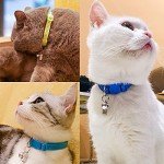 Extodry 5 Pack Custom Pet ID Tags, Dog Tags with Name Tag and Tel Address, Silver Accessories