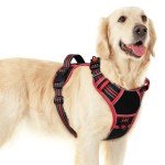Eagloo Dog Harness for Large Dogs, Easy Wearing with 3 Buckles, Adjustable No Pull Pet Harness with 2 Rings for Walking, No Chock Reflective Soft Padded Vest with Control Handle, Black & Red, L