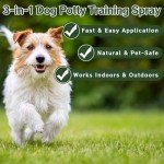 Accyoiu Dog Potty Training Spray – Puppy Training Aid with Natural Scent for Indoor & Outdoor Use – Supports Housebreaking Routine – Safe for Pads, Grass, Floors – 3.38 Fl Oz / 100ml Each