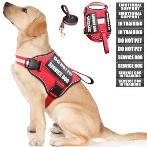 Service Dog Harness and Leash Set, Training Dog Vest with 10 Dog Patches, Emotional Support Therapy Dog Vest Harness for Small Medium Large and Extra Large Dogs(Red, L)