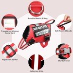 Service Dog Harness and Leash Set, Training Dog Vest with 10 Dog Patches, Emotional Support Therapy Dog Vest Harness for Small Medium Large and Extra Large Dogs(Red, L)