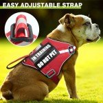 Service Dog Harness and Leash Set, Training Dog Vest with 10 Dog Patches, Emotional Support Therapy Dog Vest Harness for Small Medium Large and Extra Large Dogs(Red, L)