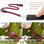 Service Dog Harness and Leash Set, Training Dog Vest with 10 Dog Patches, Emotional Support Therapy Dog Vest Harness for Small Medium Large and Extra Large Dogs(Red, L)