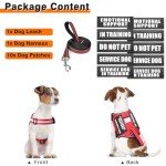 Service Dog Harness and Leash Set, Training Dog Vest with 10 Dog Patches, Emotional Support Therapy Dog Vest Harness for Small Medium Large and Extra Large Dogs(Red, L)