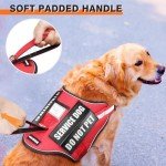 Service Dog Harness and Leash Set, Training Dog Vest with 10 Dog Patches, Emotional Support Therapy Dog Vest Harness for Small Medium Large and Extra Large Dogs(Red, L)