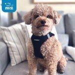 Voyager Step-In Air Dog Harness - All Weather Mesh, Reflective, No Pull Harness for Small, Medium Dogs, Cats - Secure with Hook & Loop Fastener, Buckle, Double D-Rings - Black/Black Trim, S