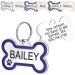 GoTags Stainless Steel Bone Dog Tag with Color Outline and Paw Print, Personalized Pet ID Tag for Dogs and Cats, Custom Engraving with up to 5 Lines of Text on Both Sides (Blue, Regular)